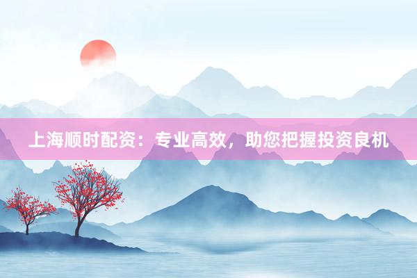 上海顺时配资：专业高效，助您把握投资良机