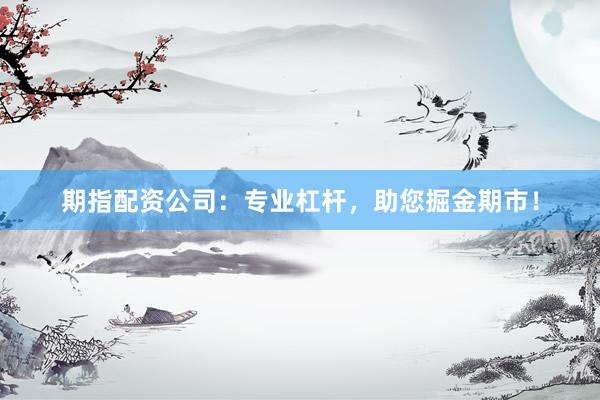 期指配资公司：专业杠杆，助您掘金期市！