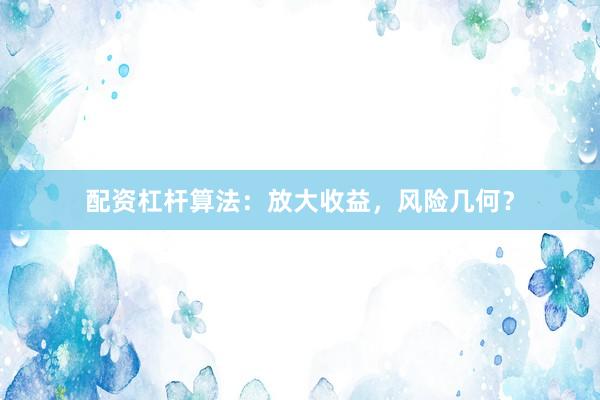 配资杠杆算法：放大收益，风险几何？