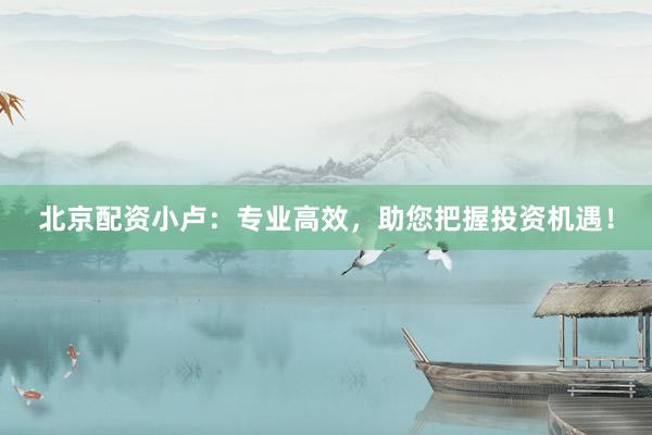 北京配资小卢：专业高效，助您把握投资机遇！