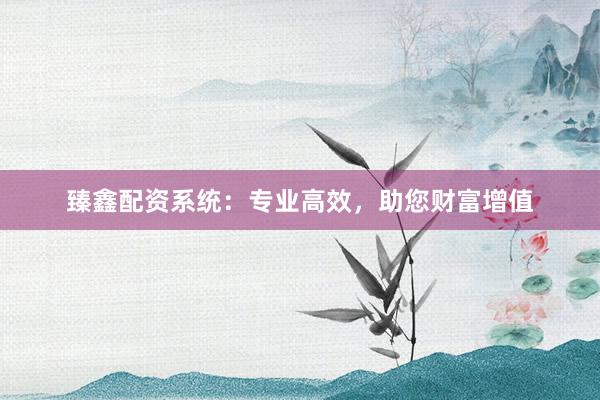 臻鑫配资系统：专业高效，助您财富增值