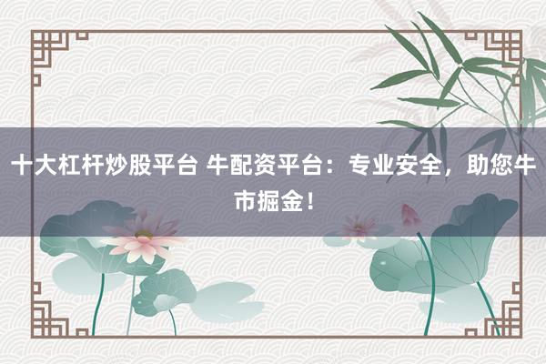 十大杠杆炒股平台 牛配资平台：专业安全，助您牛市掘金！