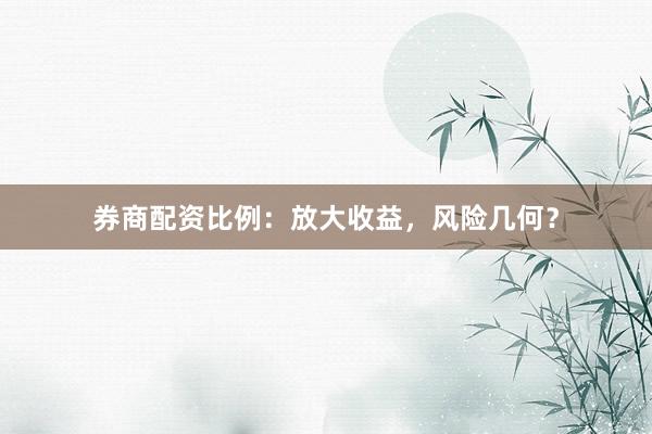 券商配资比例：放大收益，风险几何？
