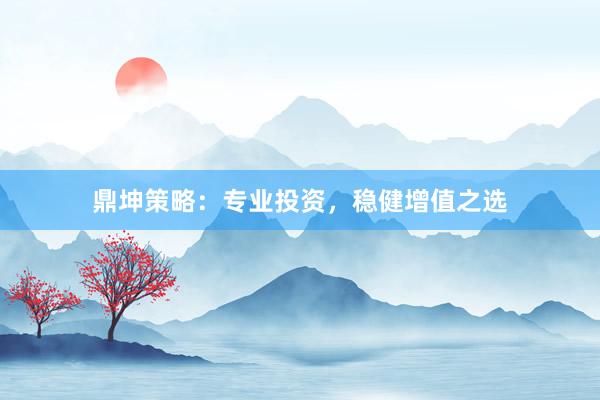 鼎坤策略：专业投资，稳健增值之选