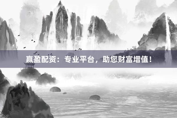 赢盈配资：专业平台，助您财富增值！