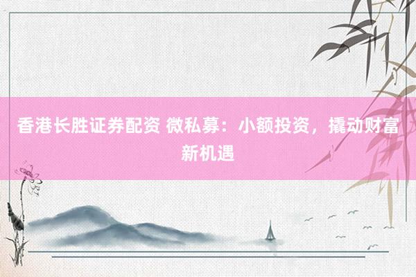 香港长胜证券配资 微私募：小额投资，撬动财富新机遇