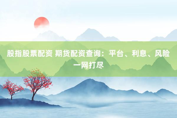 股指股票配资 期货配资查询：平台、利息、风险一网打尽