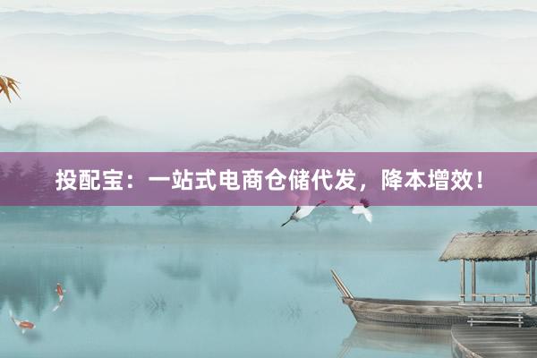 投配宝：一站式电商仓储代发，降本增效！