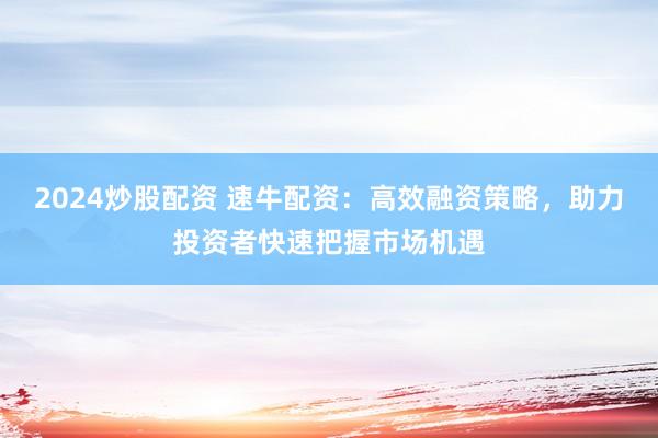 2024炒股配资 速牛配资：高效融资策略，助力投资者快速把握市场机遇