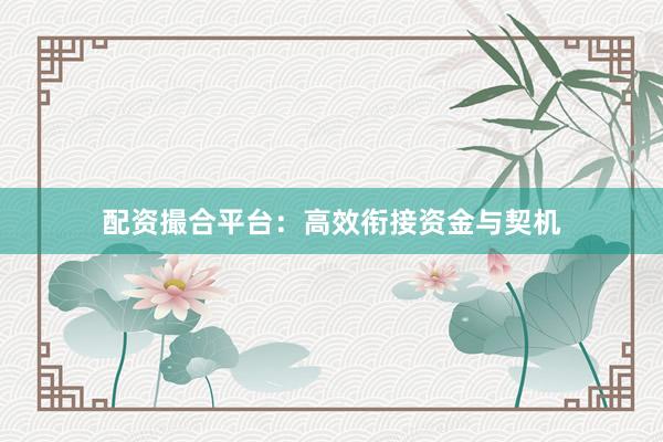 配资撮合平台：高效衔接资金与契机