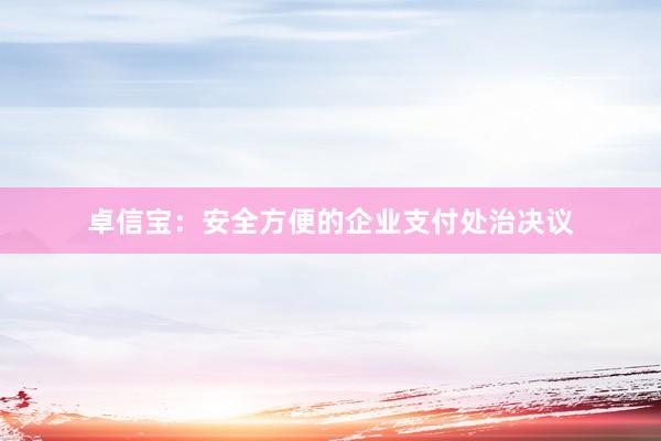卓信宝：安全方便的企业支付处治决议