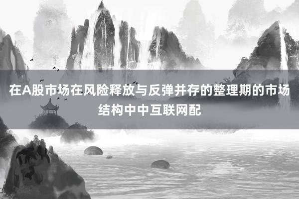在A股市场在风险释放与反弹并存的整理期的市场结构中中互联网配
