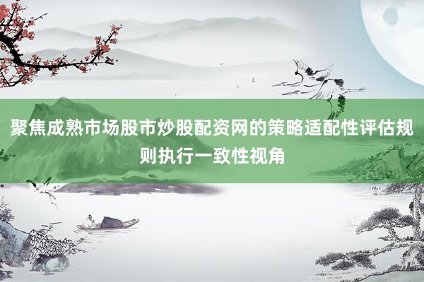 聚焦成熟市场股市炒股配资网的策略适配性评估规则执行一致性视角