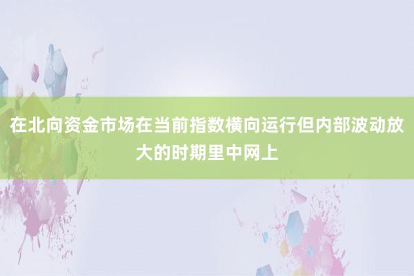 在北向资金市场在当前指数横向运行但内部波动放大的时期里中网上