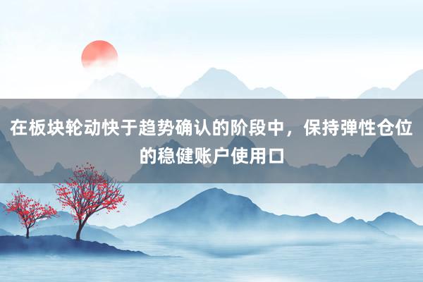 在板块轮动快于趋势确认的阶段中，保持弹性仓位的稳健账户使用口