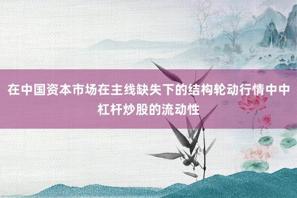 在中国资本市场在主线缺失下的结构轮动行情中中杠杆炒股的流动性