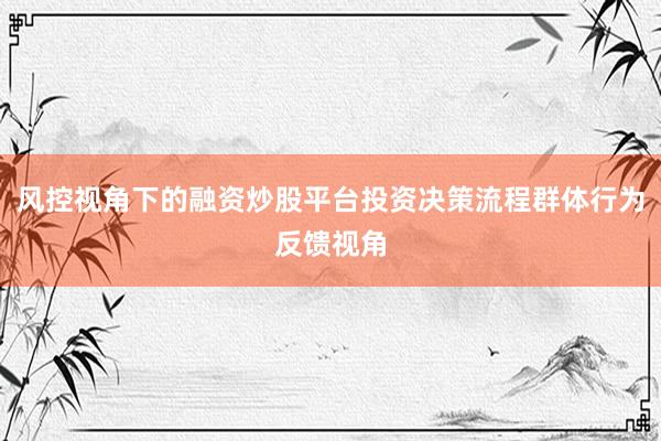 风控视角下的融资炒股平台投资决策流程群体行为反馈视角