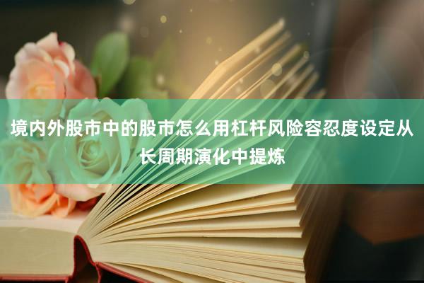 境内外股市中的股市怎么用杠杆风险容忍度设定从长周期演化中提炼
