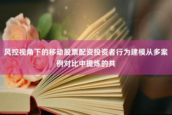 风控视角下的移动股票配资投资者行为建模从多案例对比中提炼的共