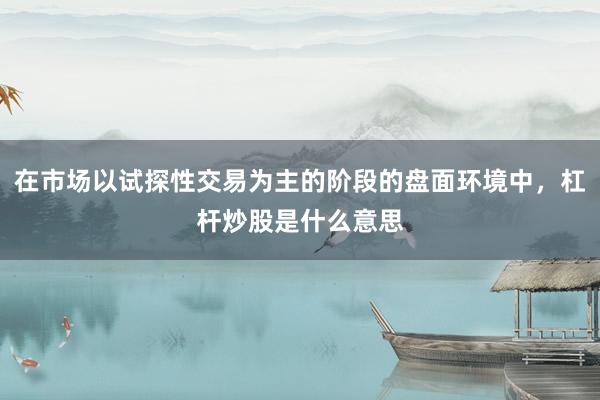 在市场以试探性交易为主的阶段的盘面环境中，杠杆炒股是什么意思