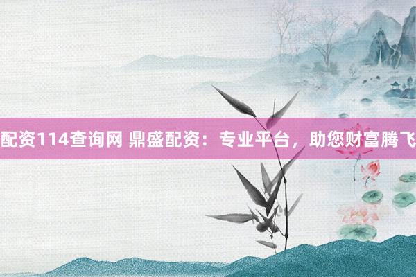 配资114查询网 鼎盛配资：专业平台，助您财富腾飞